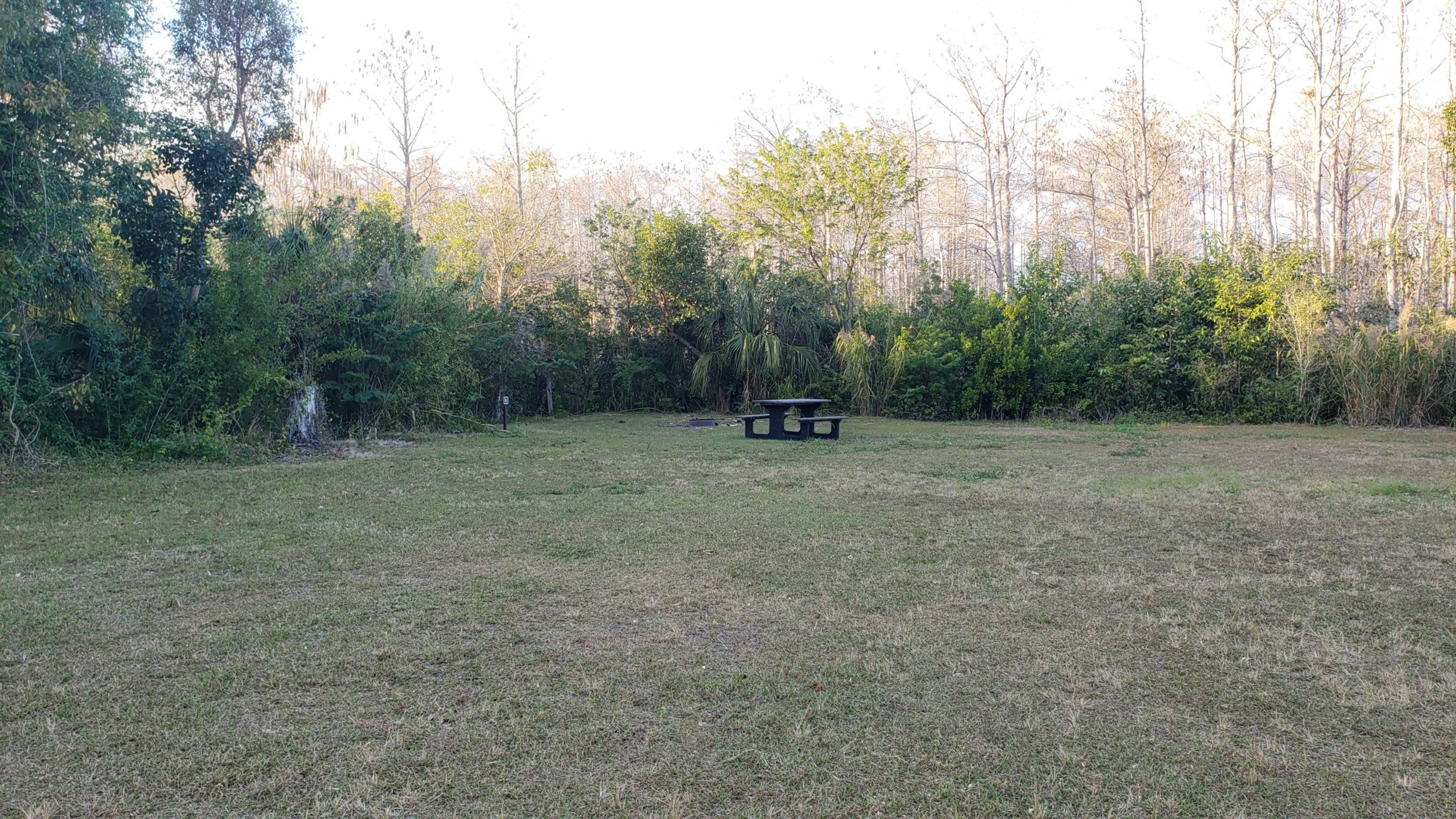 Camper submitted image from Pinecrest Group Campground — Big Cypress National Preserve - 2
