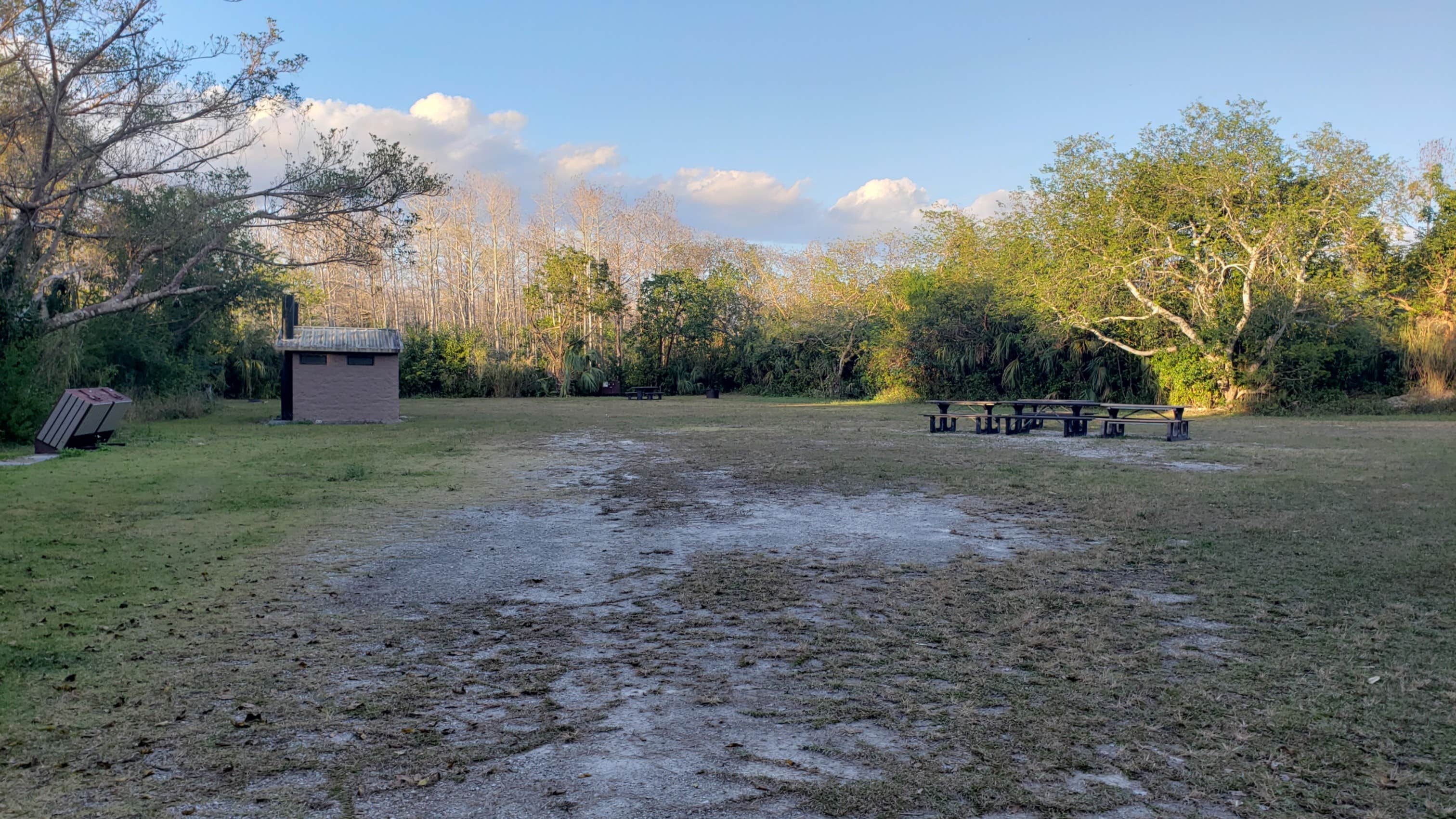 Camper submitted image from Pinecrest Group Campground — Big Cypress National Preserve - 5