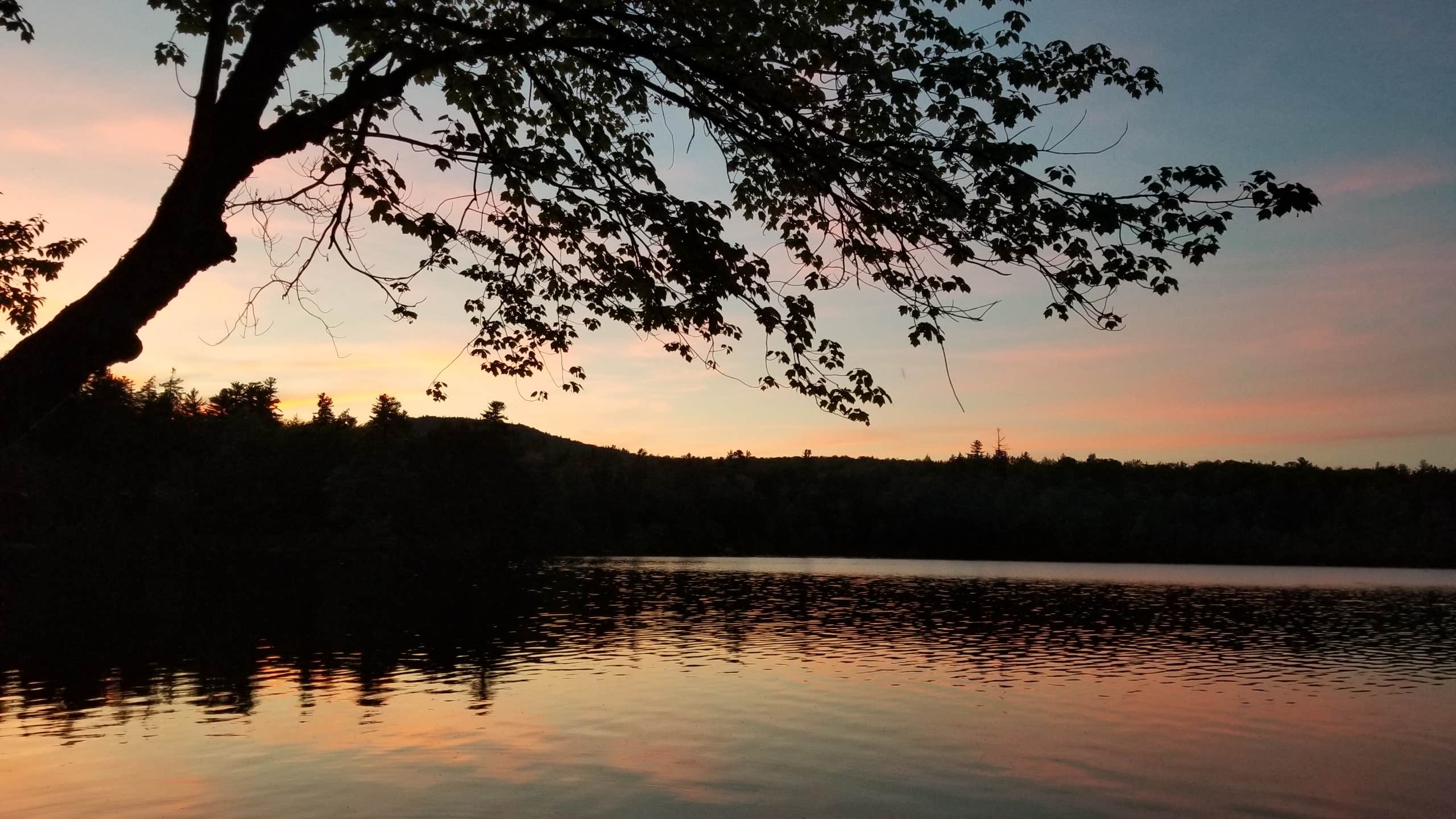 Camper-submitted photo at Terrace Pines Camping Area near Center Ossipee, NH