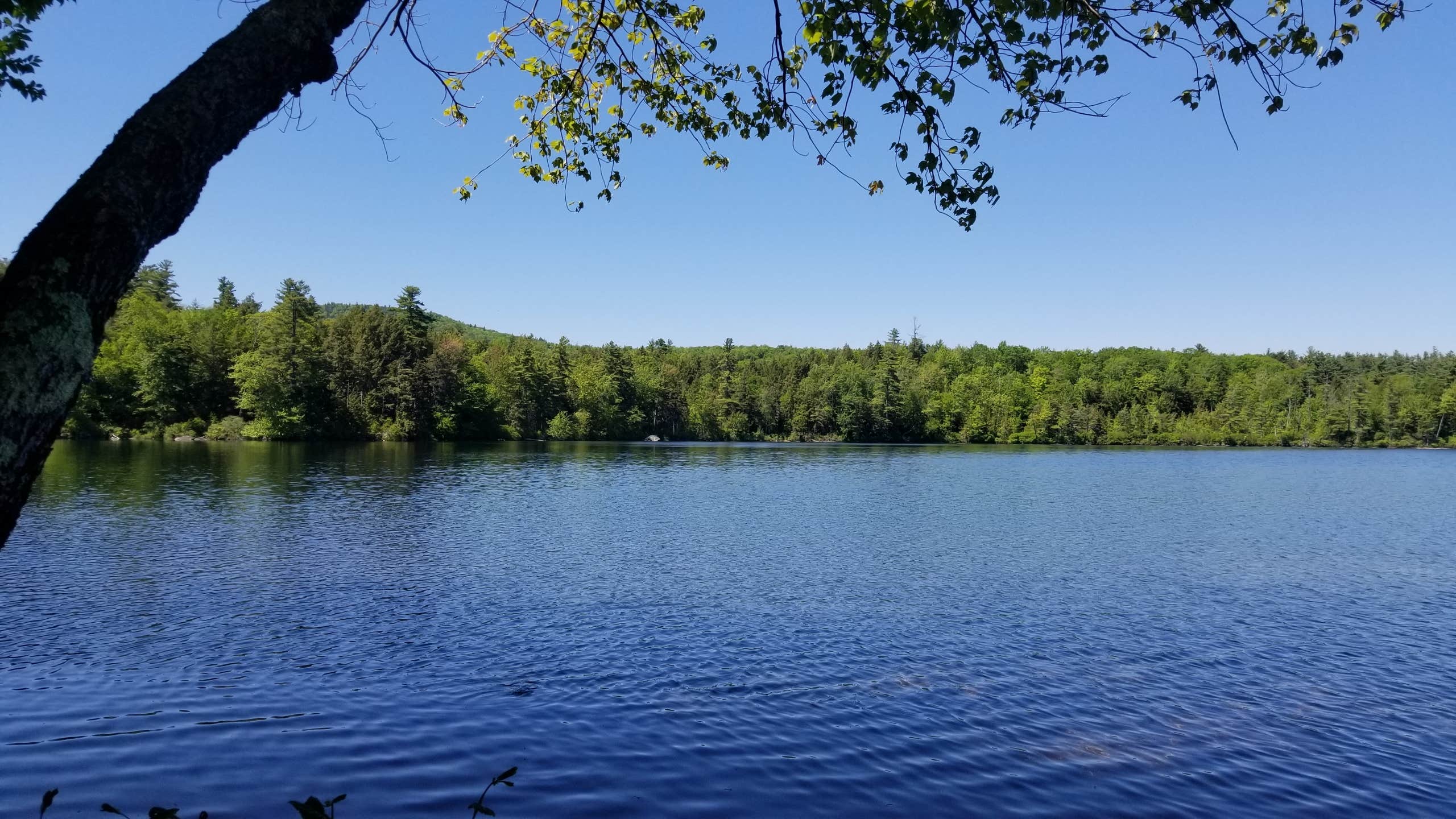 Camper-submitted photo at Terrace Pines Camping Area near Center Ossipee, NH