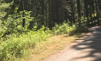 Camping near Leader Lake Campground: Oriole Campground, Conconully, Washington