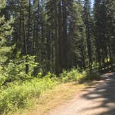 Review photo of Oriole Campground by Nanette C., August 29, 2017