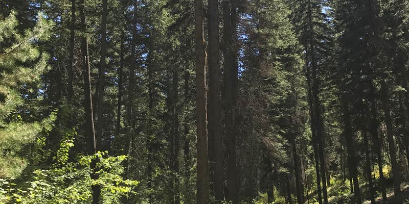 Camper submitted image from Oriole Campground