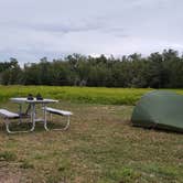 Review photo of Flamingo Campground — Everglades National Park by Jean C., January 29, 2020