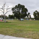 Review photo of Flamingo Campground — Everglades National Park by Jean C., January 29, 2020