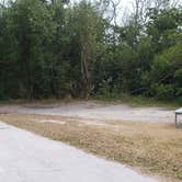 Review photo of Flamingo Campground — Everglades National Park by Jean C., January 29, 2020