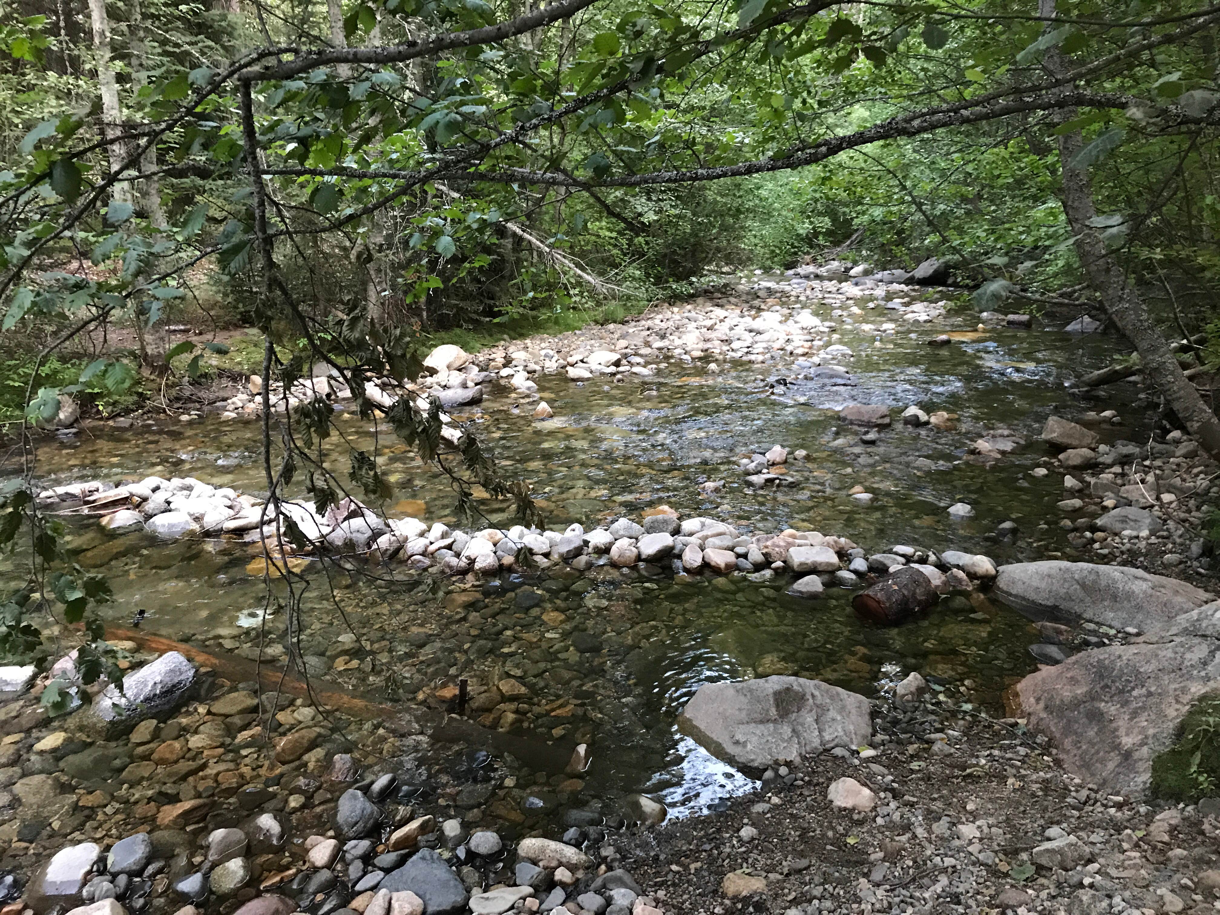 Camper submitted image from Oriole Campground - 3
