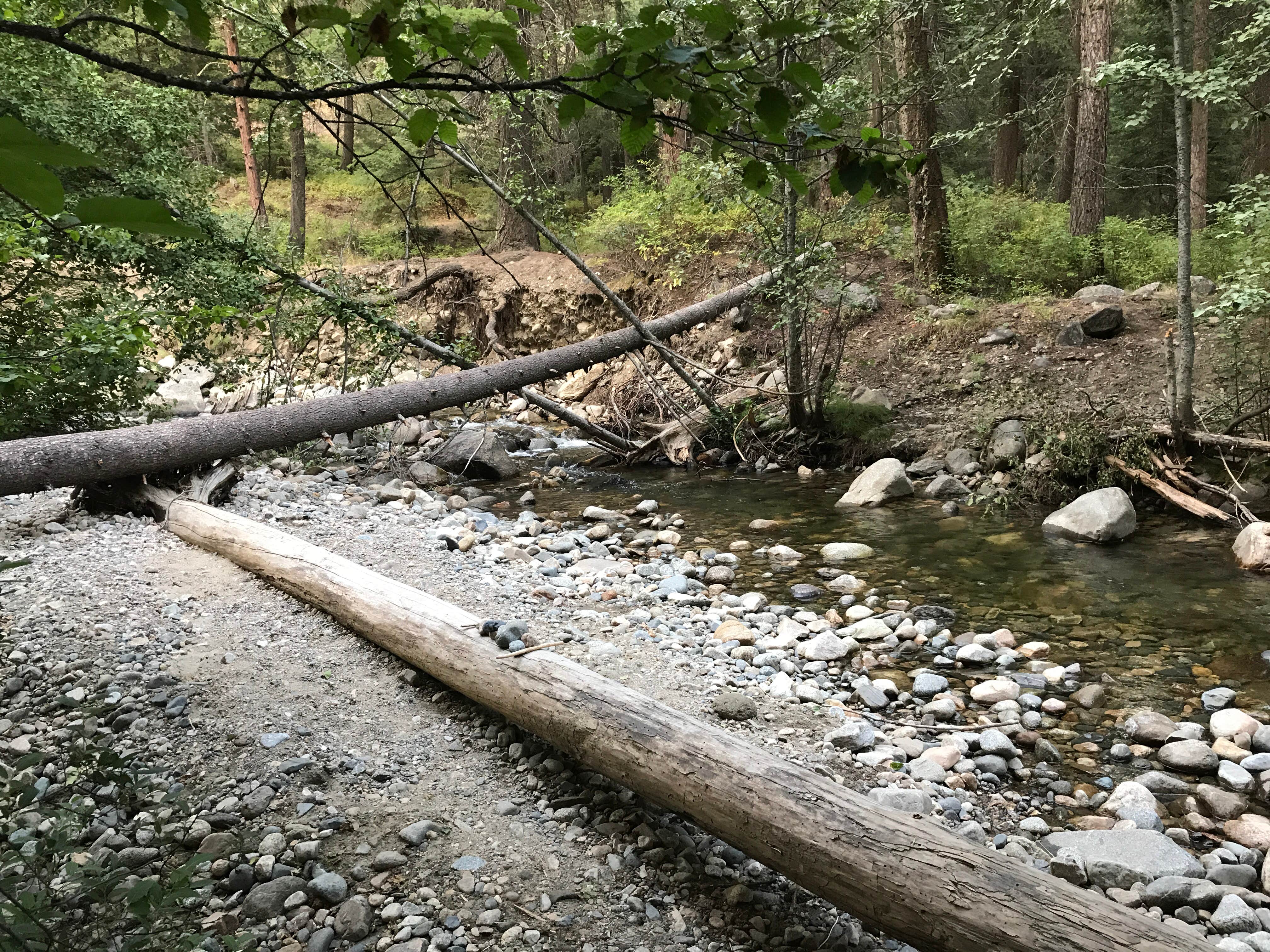 Camper submitted image from Oriole Campground - 2