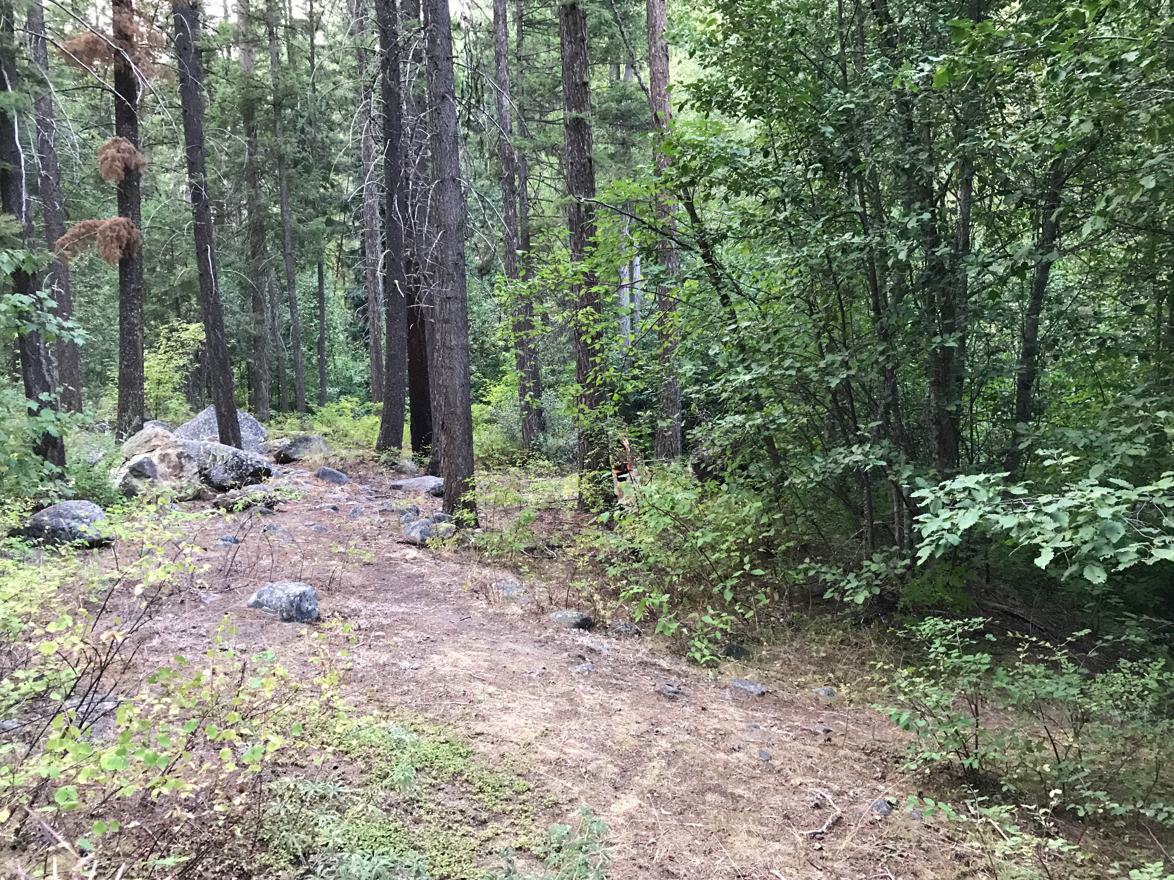 Camper-submitted photo at Oriole Campground near Conconully, WA