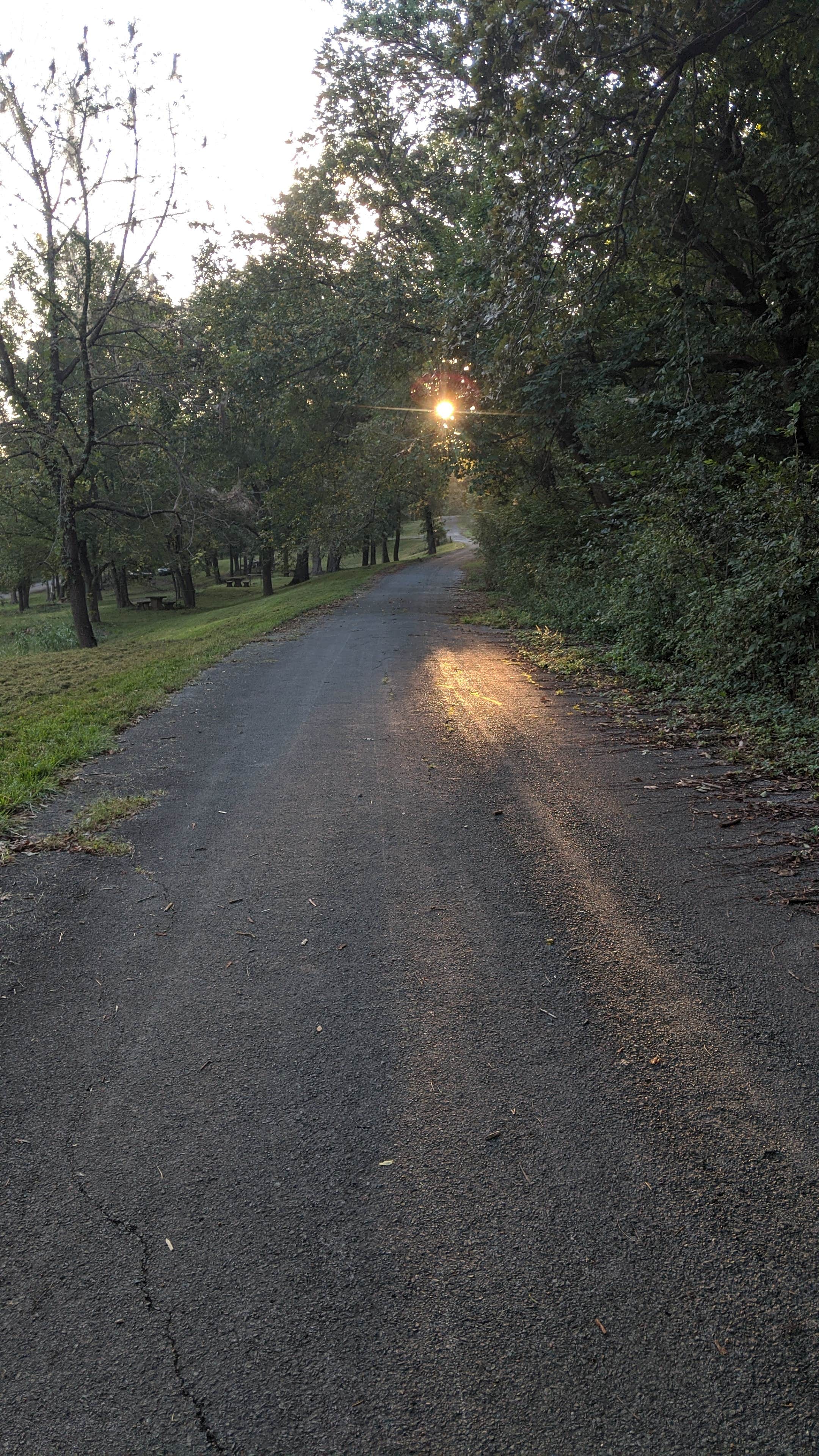 Camper submitted image from Jackson Bay Recreation Area - 4