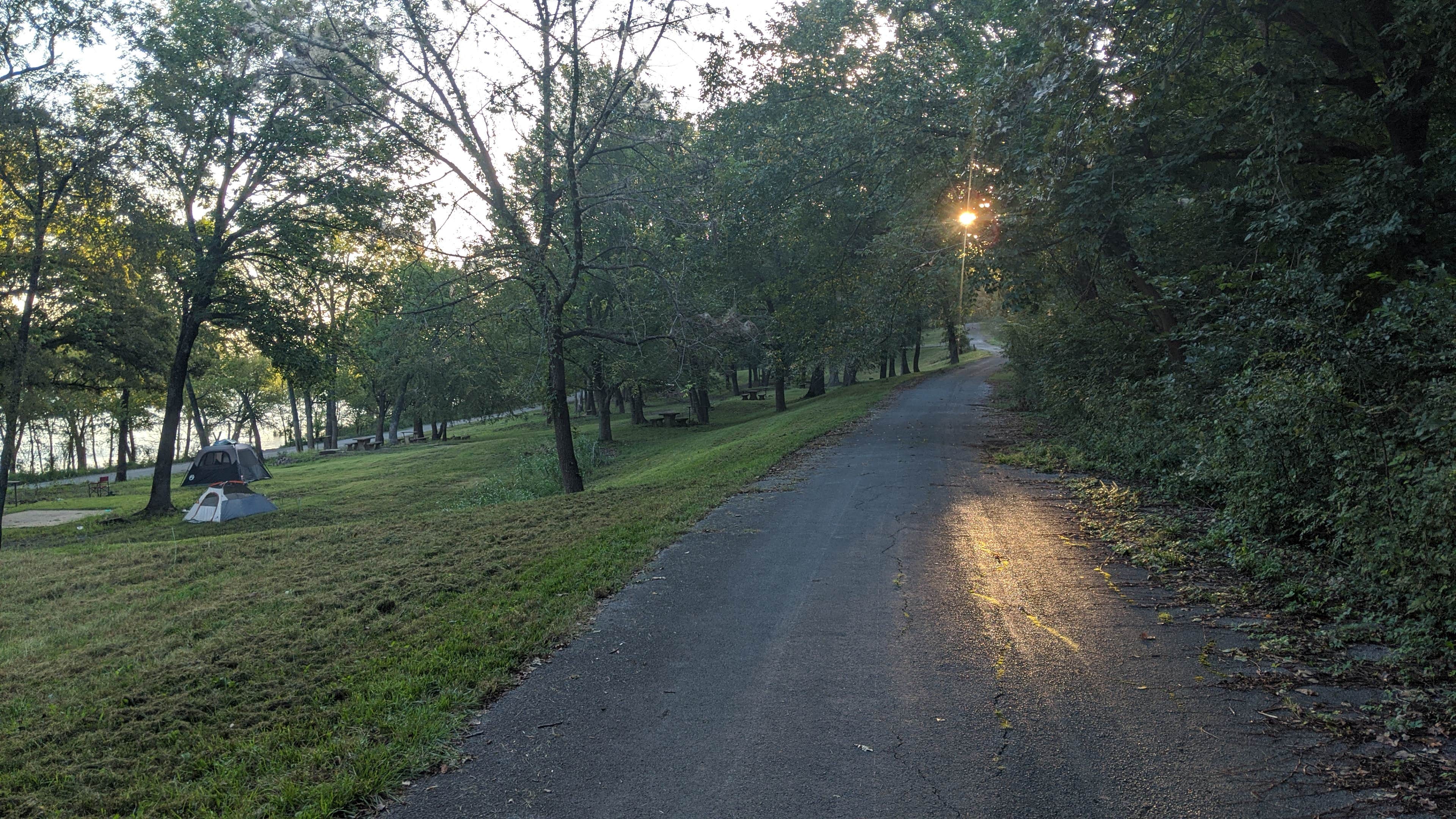 Camper submitted image from Jackson Bay Recreation Area - 2