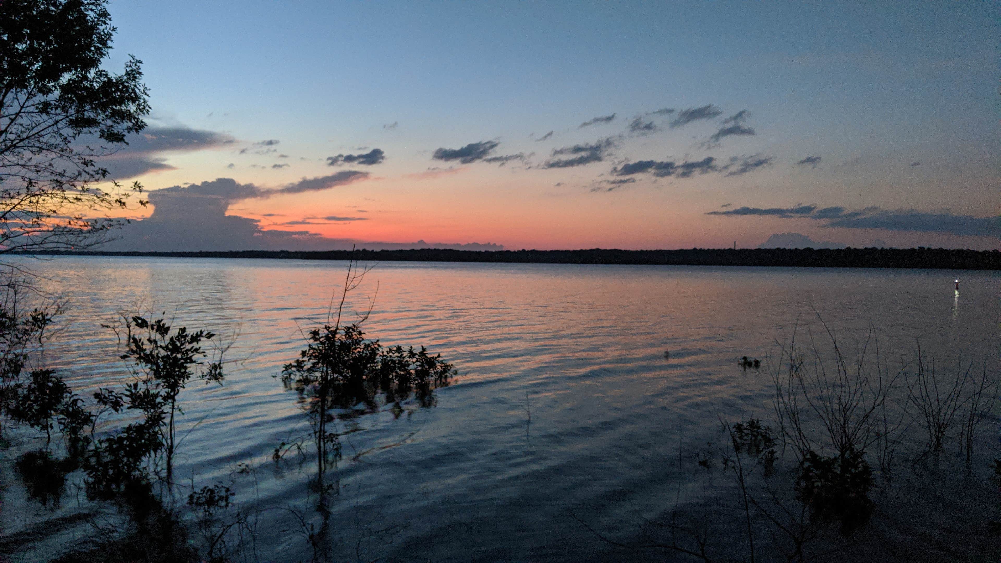 Camper submitted image from Jackson Bay Recreation Area - 3