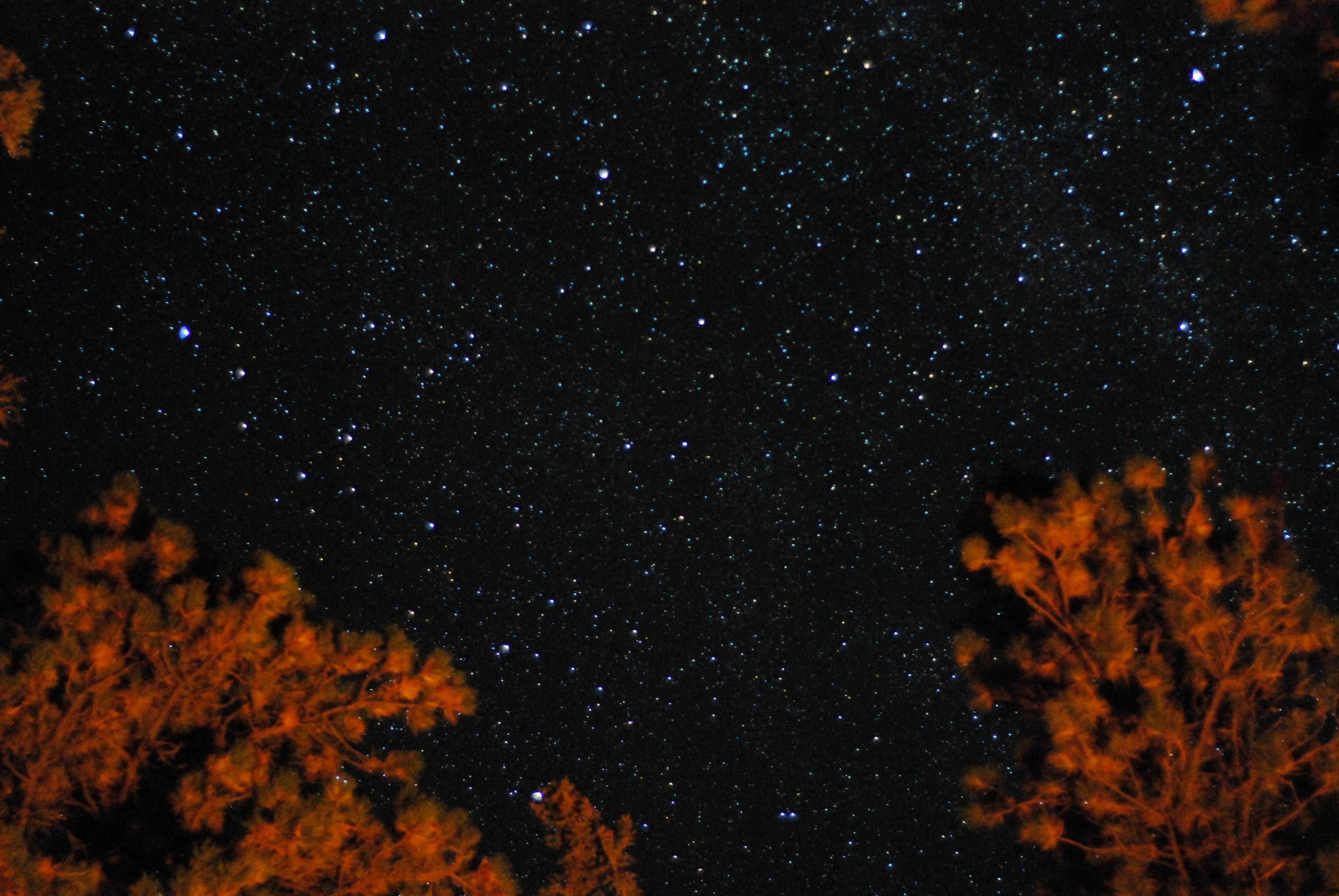 Andrew G.'s photo of a dispersed camping area at Grand Canyon North Dispersed camping in Arizona
