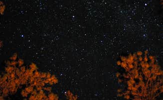 Andrew G.'s photo of a dispersed camping area at Grand Canyon North Dispersed camping in Arizona