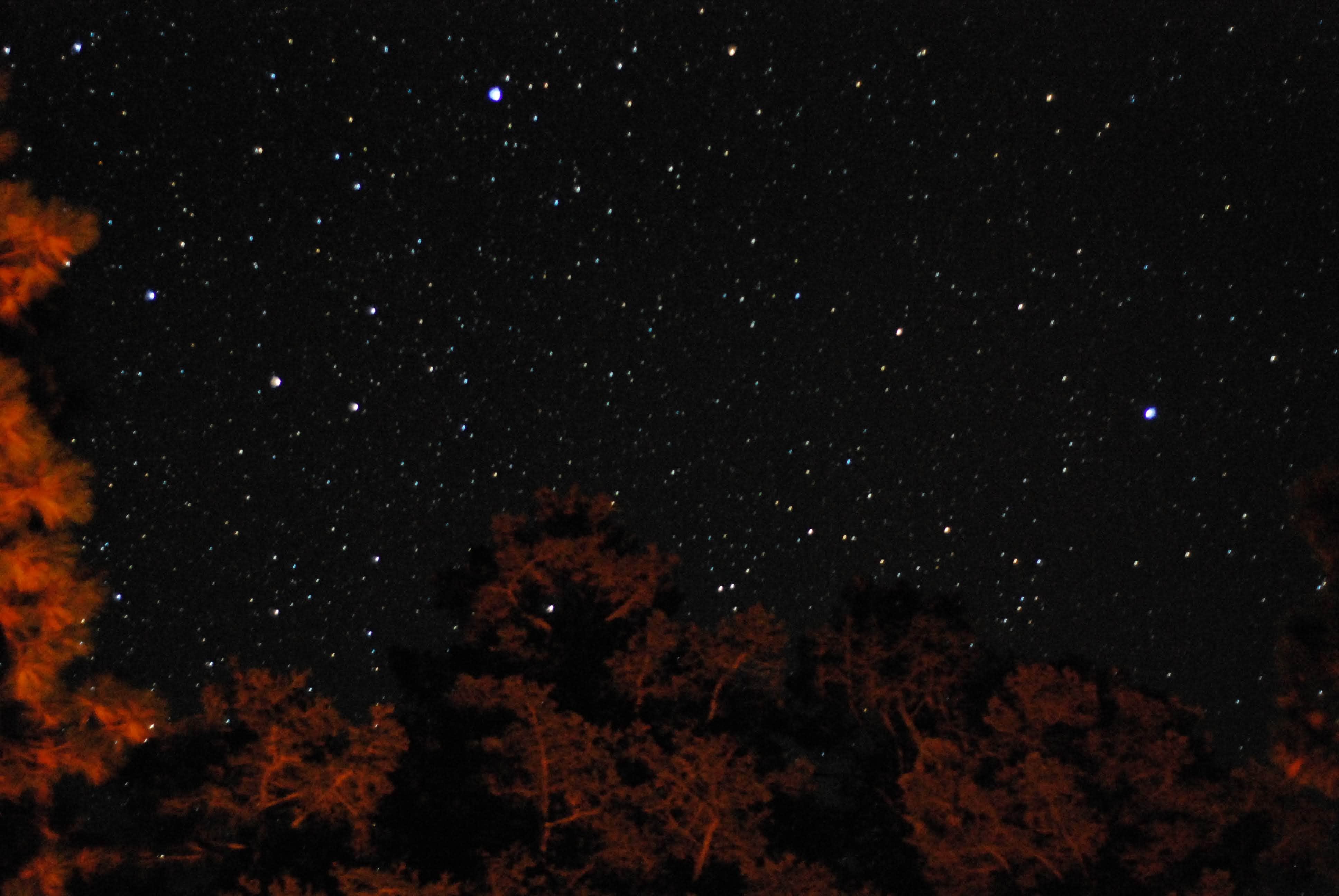 Camper submitted image from Grand Canyon North Dispersed camping - 2