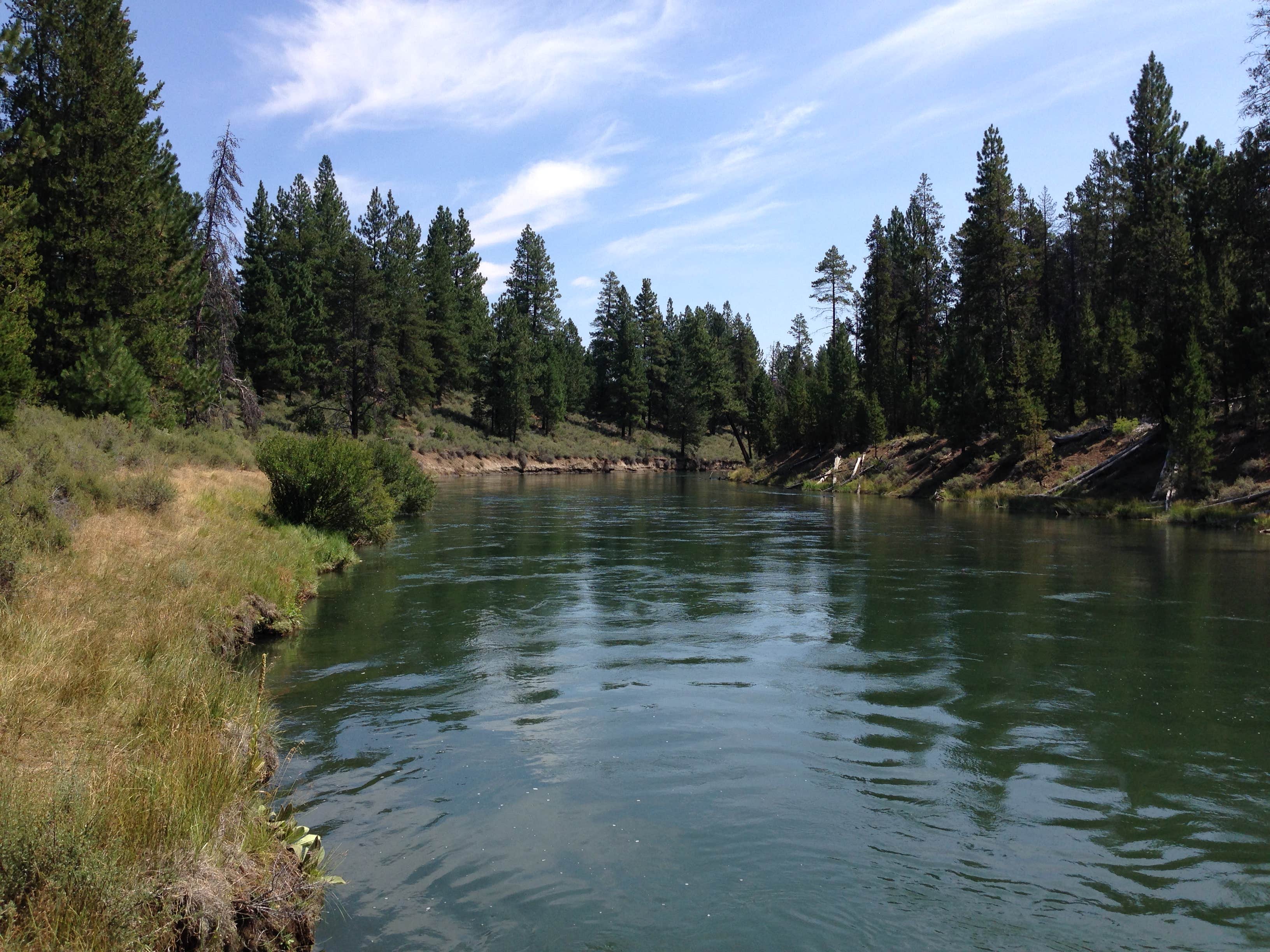 Camper-submitted photo at LaPine State Park Campground near Deschutes & Ochoco National Forests & Crooked River National Grassland