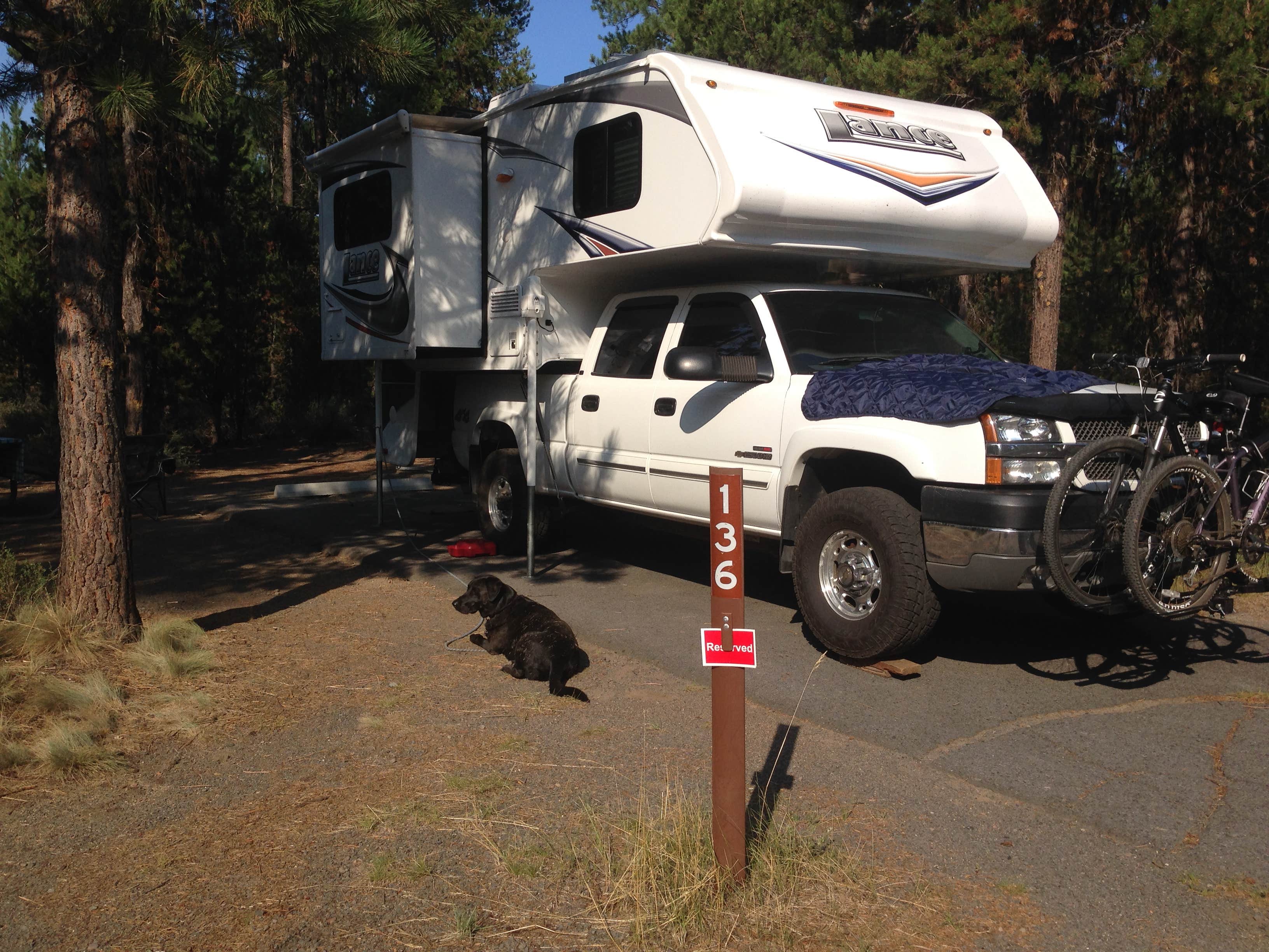 Dawn G.'s photo of camping with pets at LaPine State Park Campground near Bend, OR