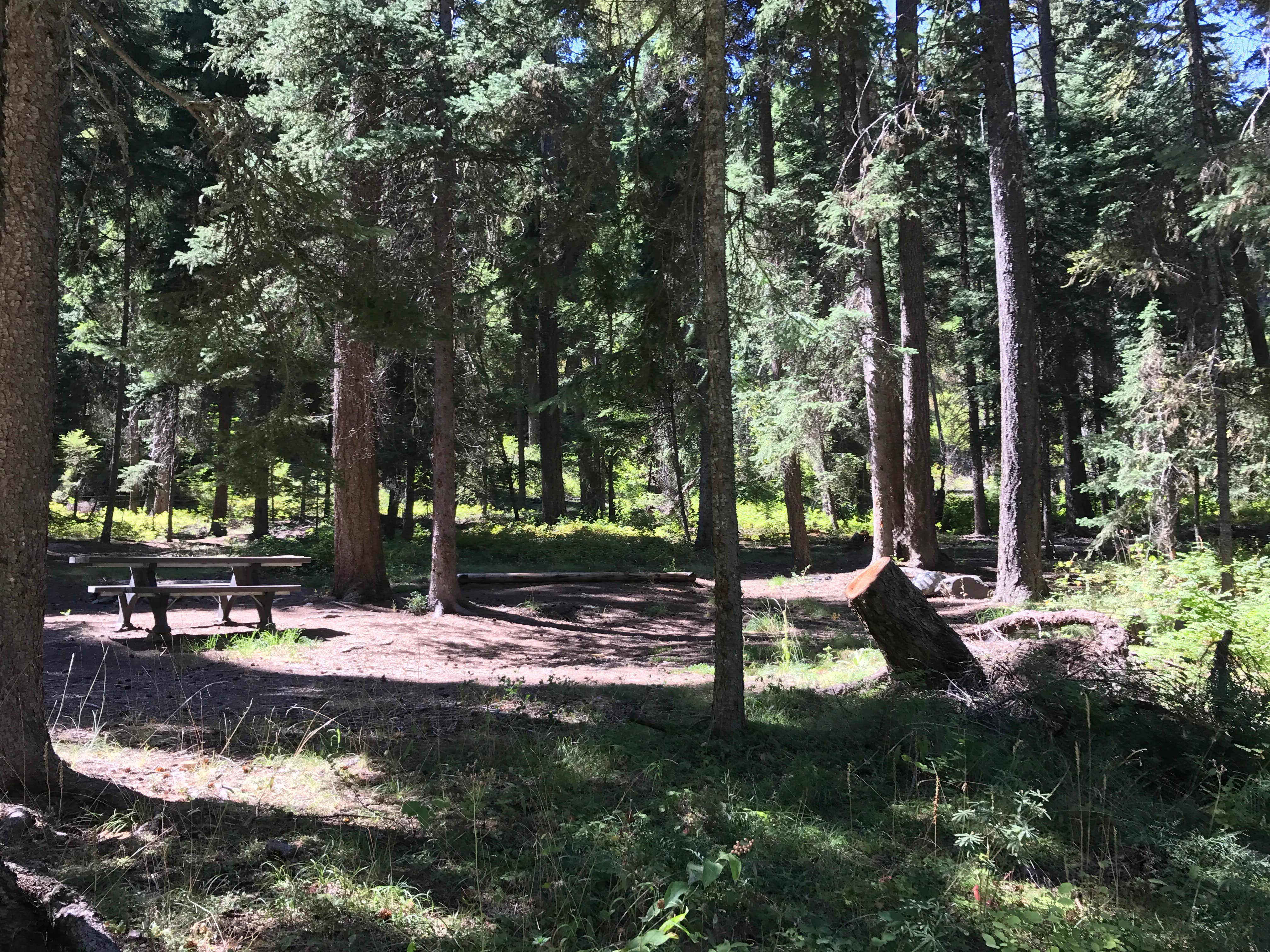 Camper-submitted photo at Oriole Campground near Conconully, WA