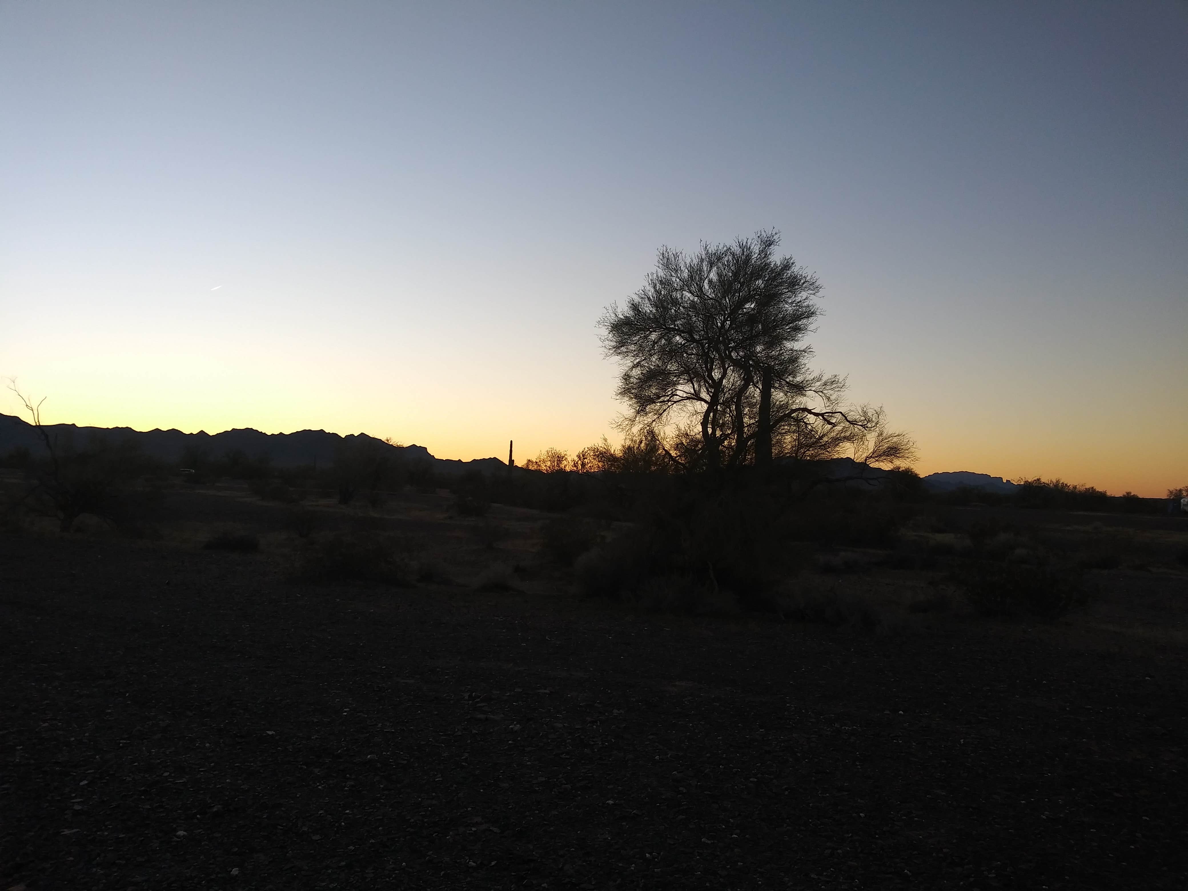 Joe B.'s photo of a dispersed camping area at Scaddan Wash in Arizona