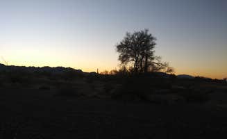 Joe B.'s photo of a dispersed camping area at Scaddan Wash in Arizona