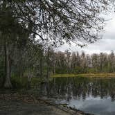 Review photo of Thousand Trails Orlando by Robert M., February 1, 2020