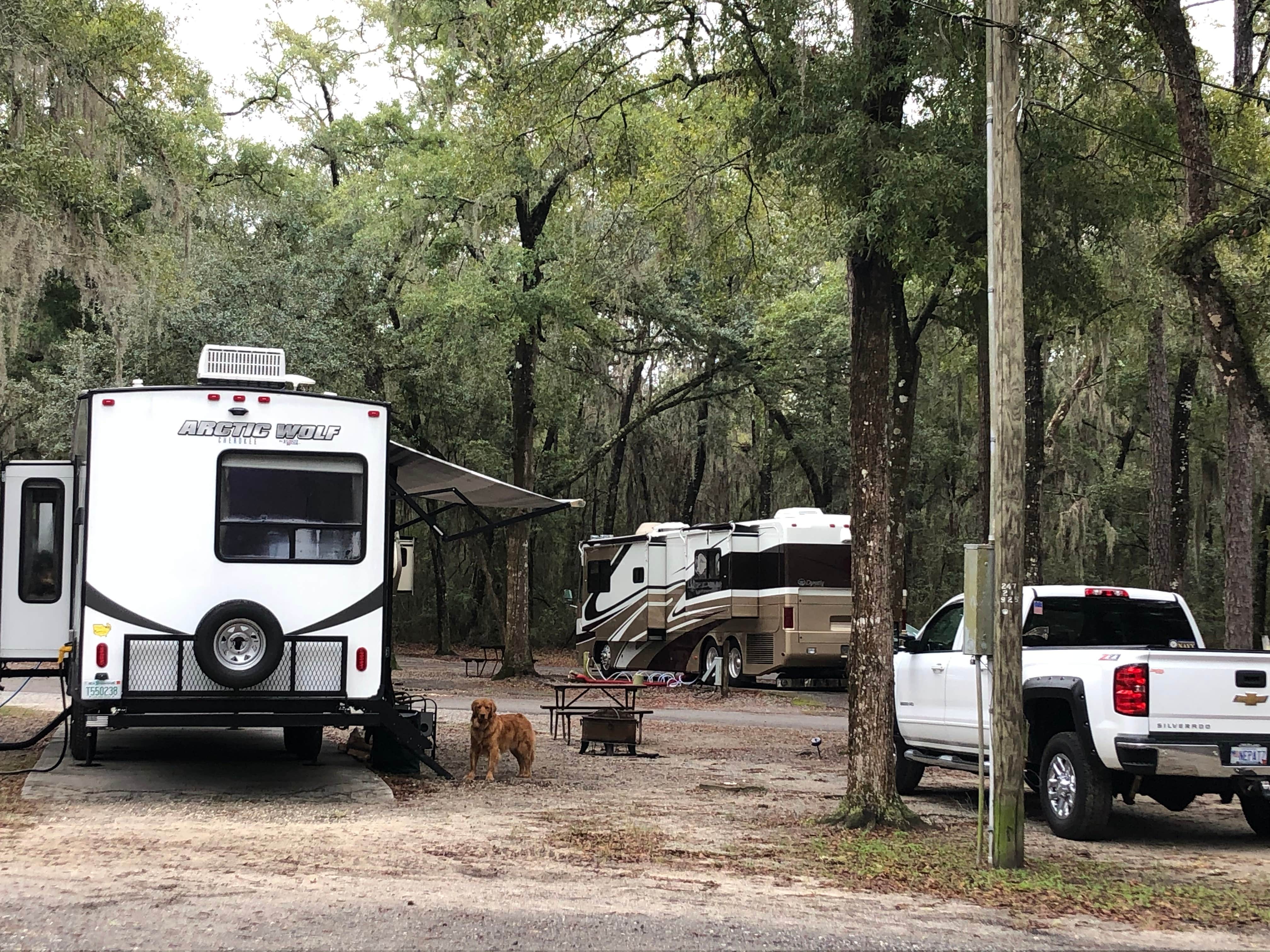 Jeannine D.'s photo of rv camping at Spacious Skies Savannah Oaks near Rincon, GA
