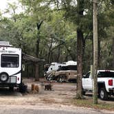 Review photo of Spacious Skies Savannah Oaks by Jeannine D., February 1, 2020