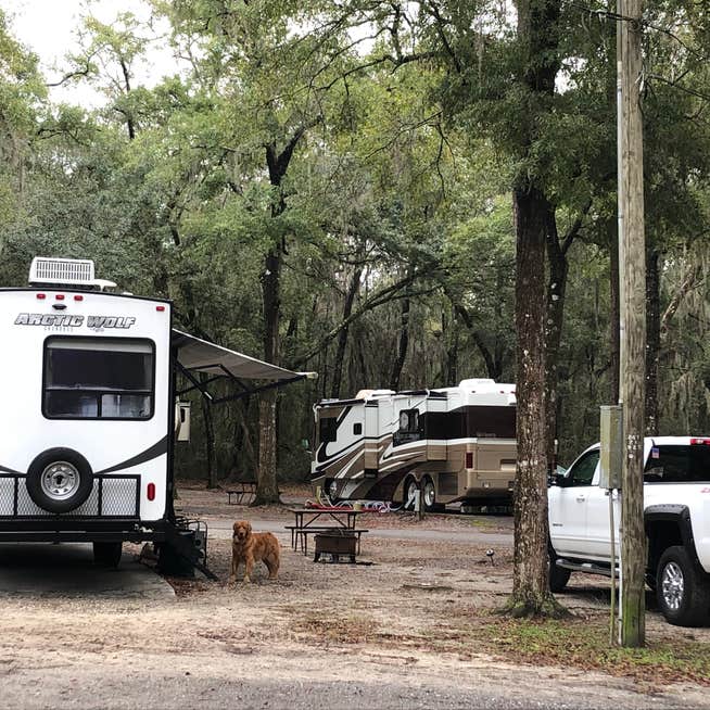 Savannah Rv RV Camping near Savannah, GA | Full Hookup Campgrounds