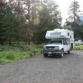 Review photo of Pebble Creek Campground — Yellowstone National Park - CLOSED IN 2024 by Dawn G., February 1, 2020