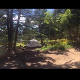 Review photo of Wild Iris OK Corral by Carrie C., August 29, 2017