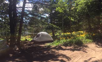 Carrie C.'s photo at Wild Iris OK Corral near Riverton, WY