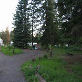 Review photo of Pebble Creek Campground — Yellowstone National Park - CLOSED IN 2024 by Dawn G., February 1, 2020