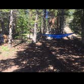 Review photo of Wild Iris OK Corral by Carrie C., August 29, 2017