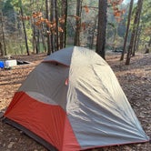 Review photo of Calhoun Falls State Park Campground by Justin S., February 2, 2020