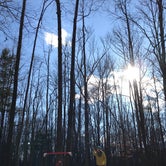 Review photo of Meeman-Shelby Forest State Park by Ryan S., February 2, 2020