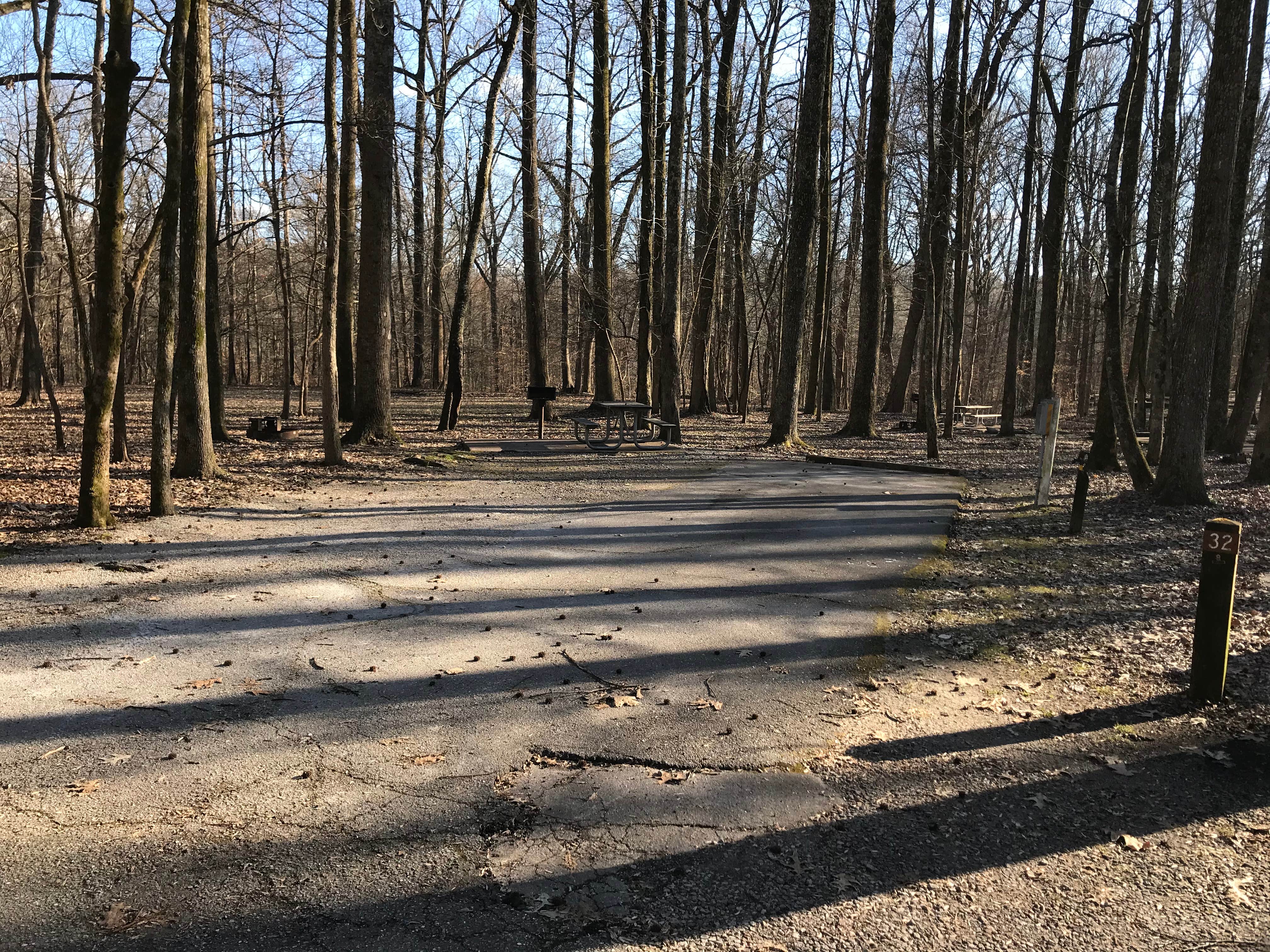 Camper-submitted photo at Meeman-Shelby Forest State Park near Manila, AR