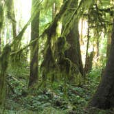 Review photo of Sol Duc Hot Springs Resort Campground — Olympic National Park by Michael K., June 30, 2016