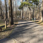 Review photo of Meeman-Shelby Forest State Park by Ryan S., February 2, 2020