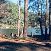 Review photo of Double Lake Recreation Area by Matt M., February 2, 2020