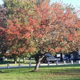 Review photo of Addison Oaks County Park by Joe S., February 2, 2020