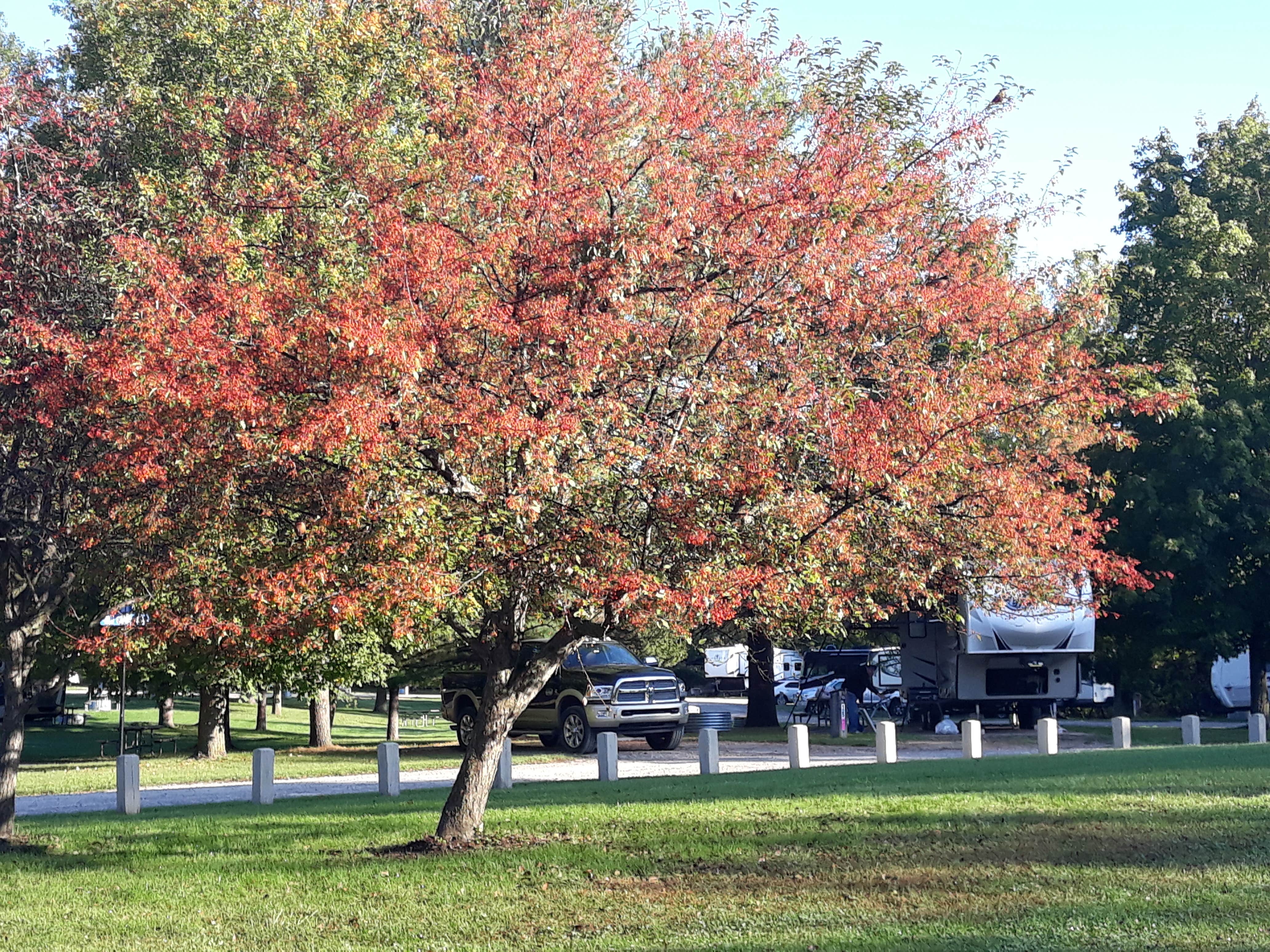 Camper submitted image from Addison Oaks County Park - 2