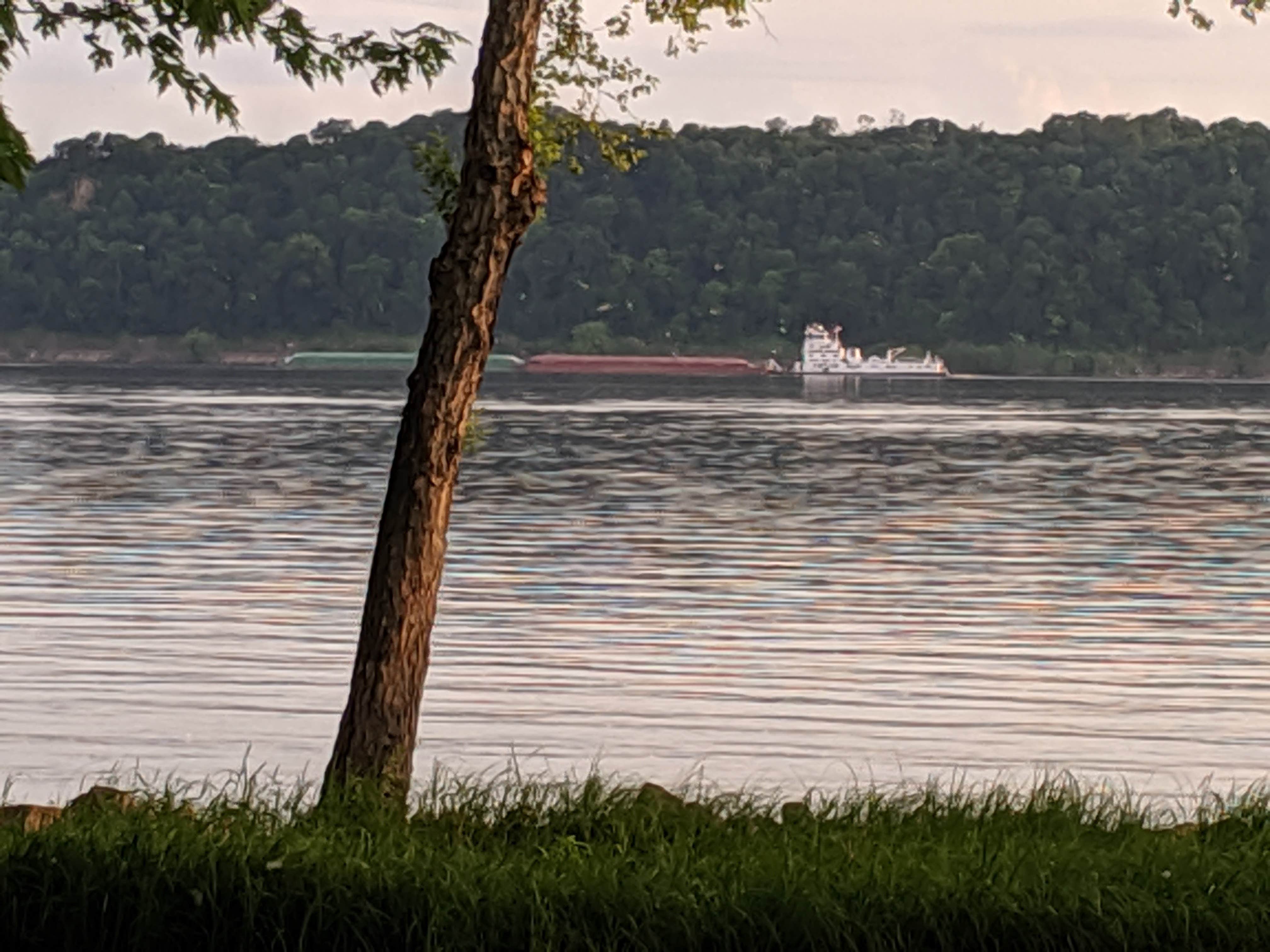 Camper submitted image from Grant River Recreation Area - 5