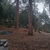 Review photo of Idyllwild Campground — Mount San Jacinto State Park by Lydia H., February 3, 2020