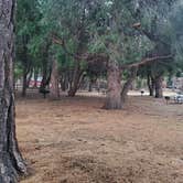 Review photo of Idyllwild Campground by Lydia H., February 3, 2020