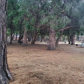 Review photo of Idyllwild Campground — Mount San Jacinto State Park by Lydia H., February 3, 2020