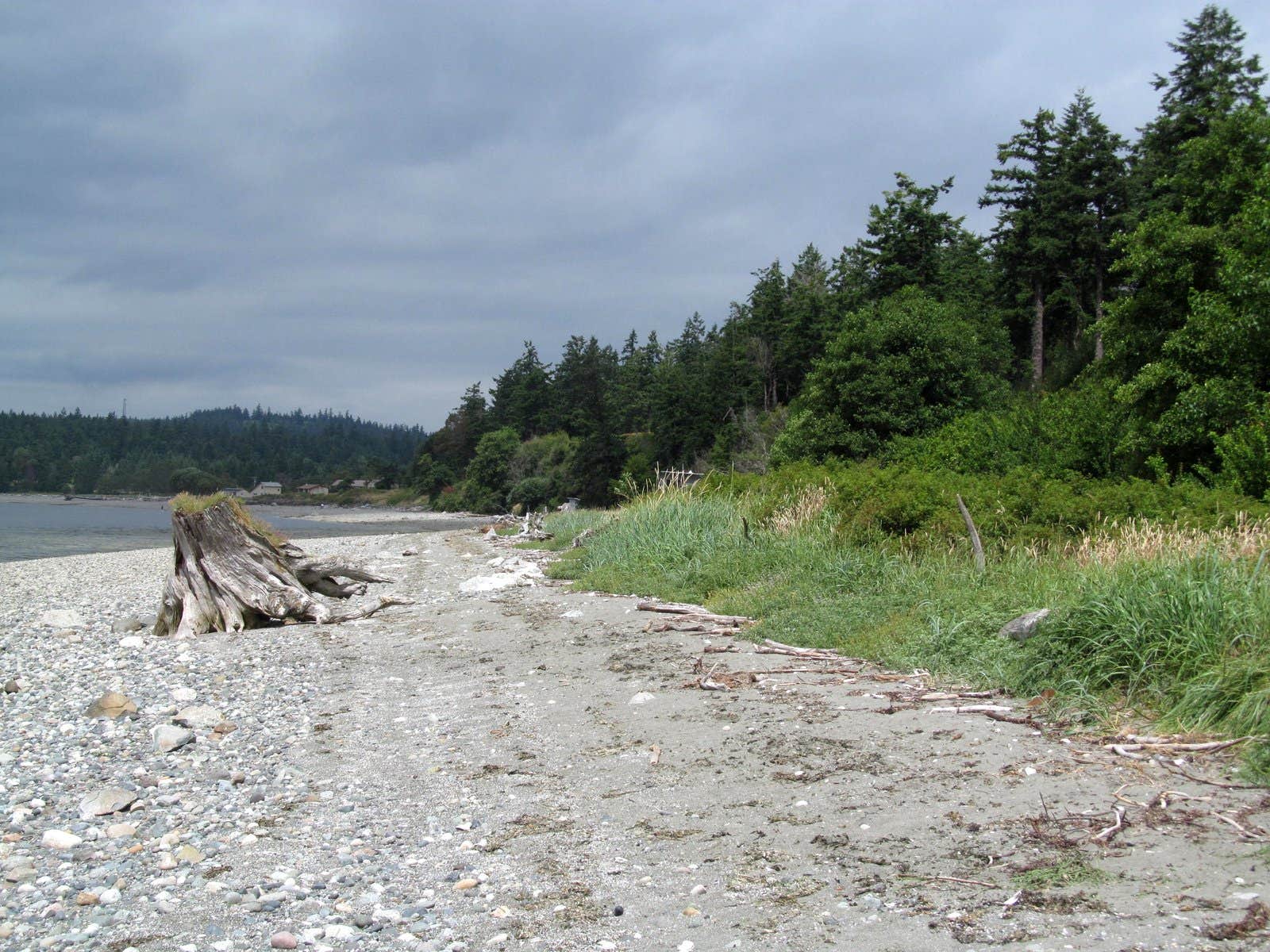 Camper submitted image from Kinney Point State Park Campground - 1