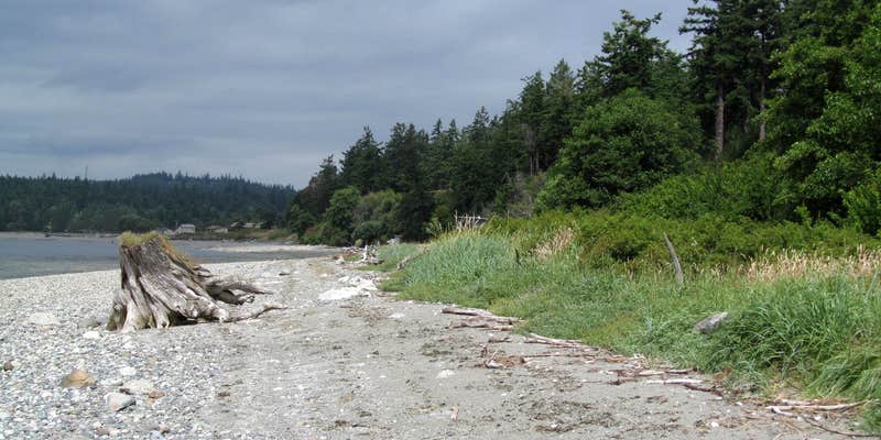 Camper submitted image from Kinney Point State Park Campground