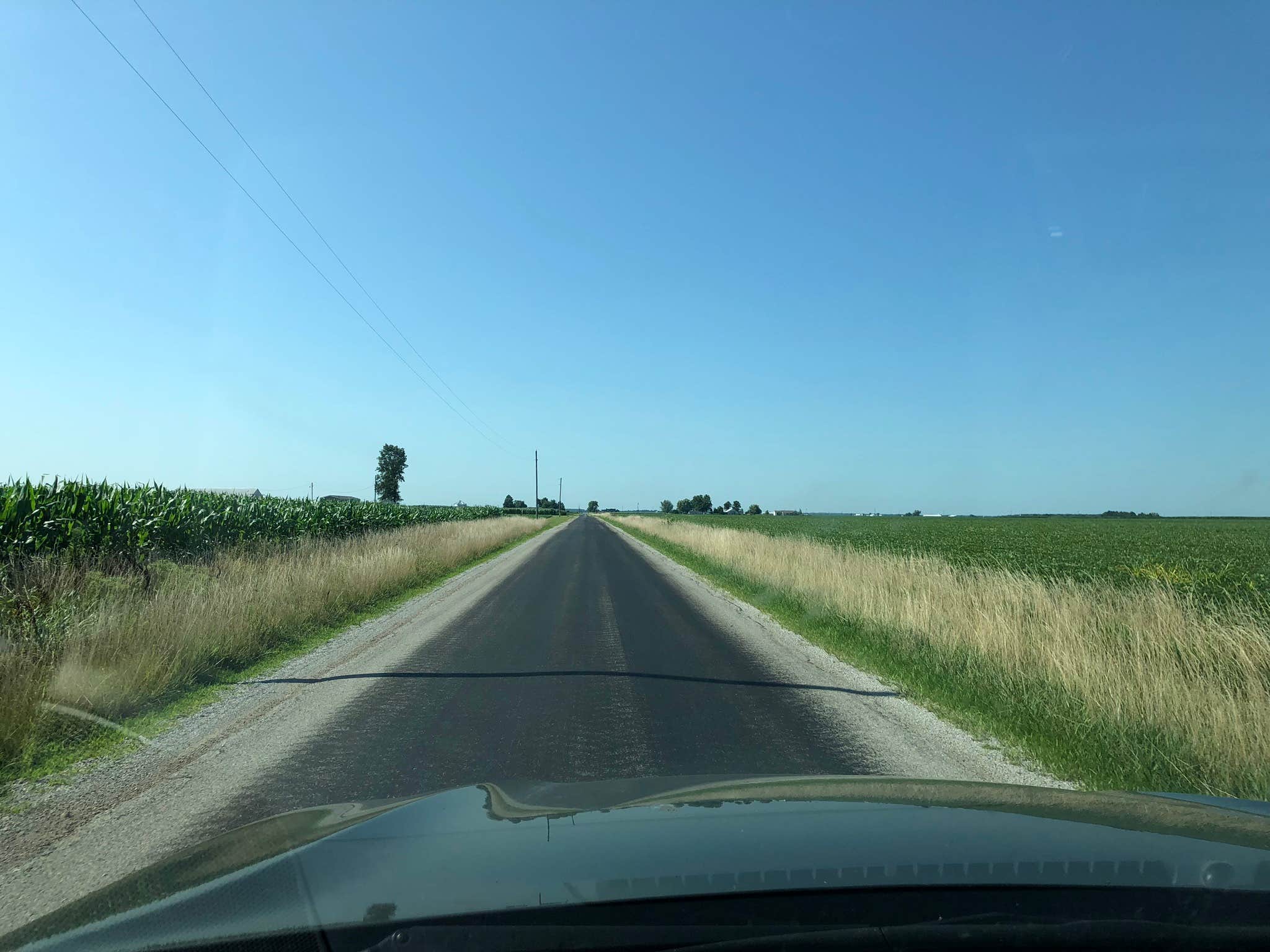 Camper-submitted photo at Buck Ridge Campground near Herod, IL