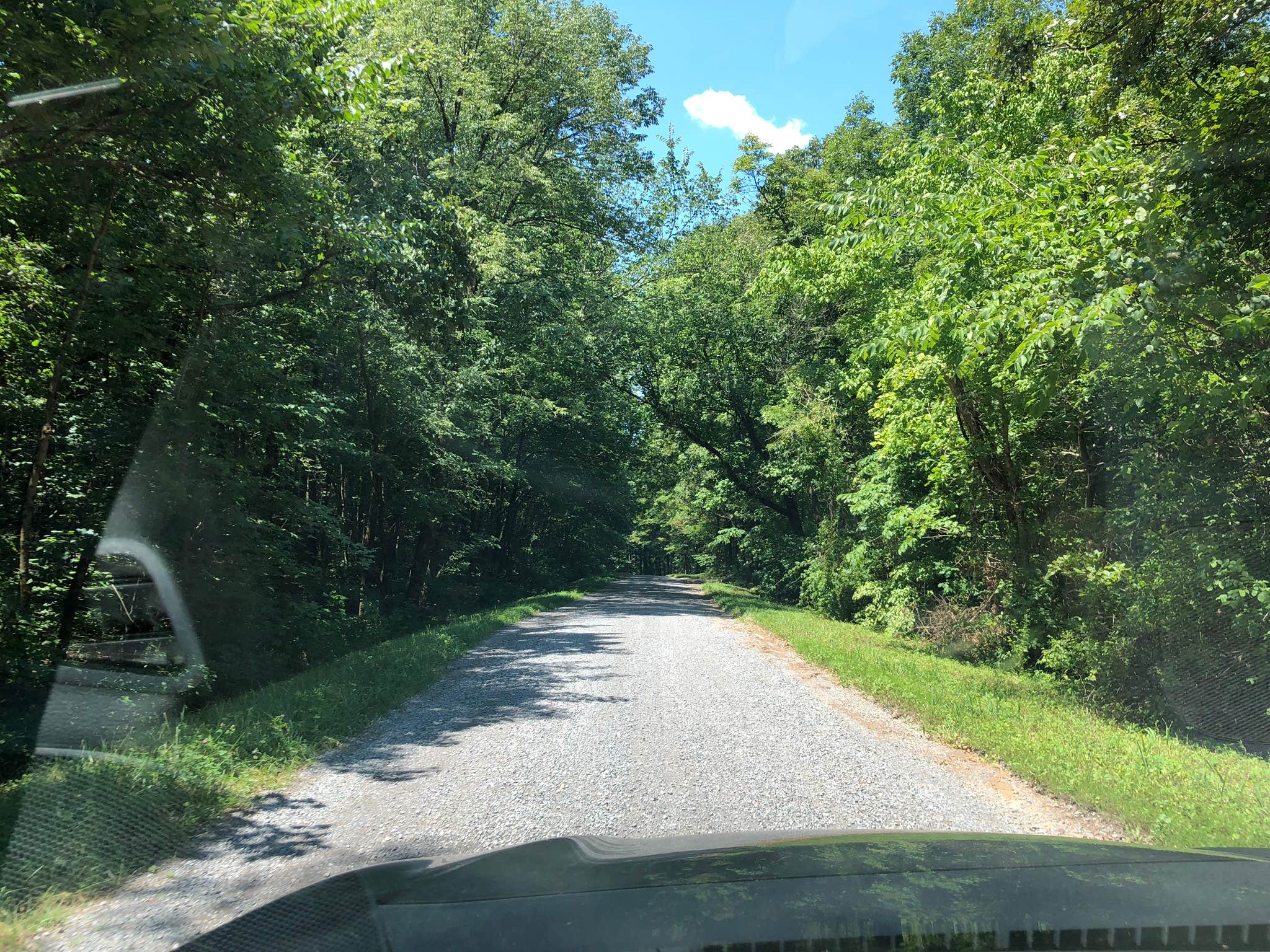 Camper-submitted photo at Buck Ridge Campground near Herod, IL