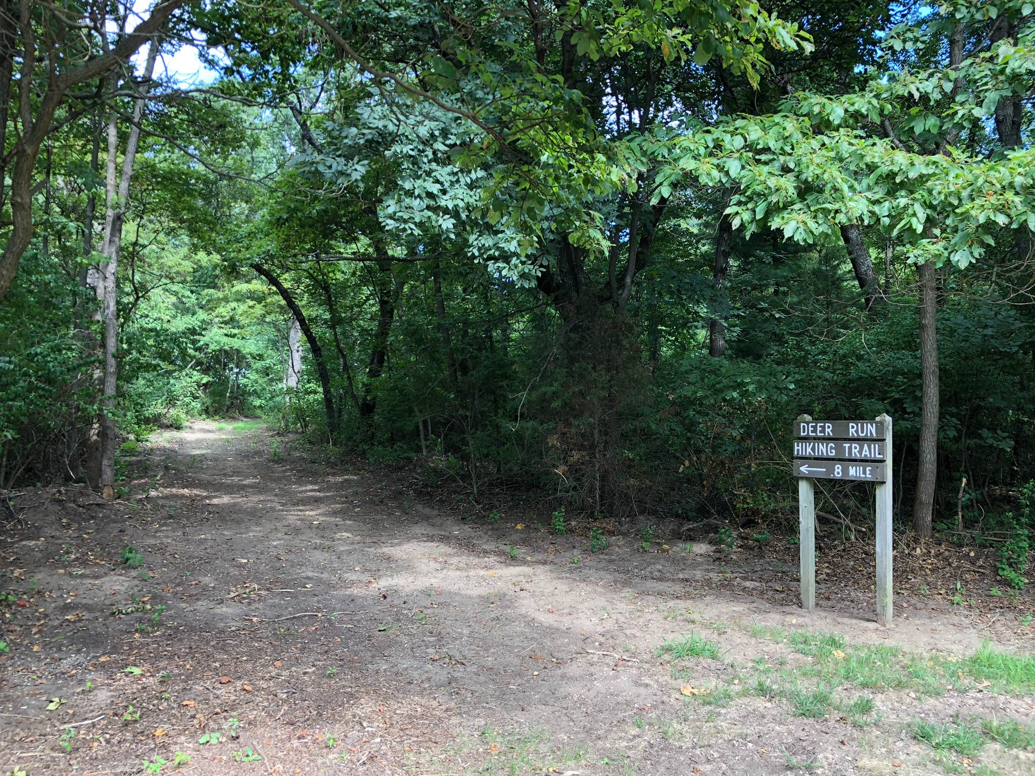 Camper submitted image from Spring Lake State Fish and Wildlife Area - 5